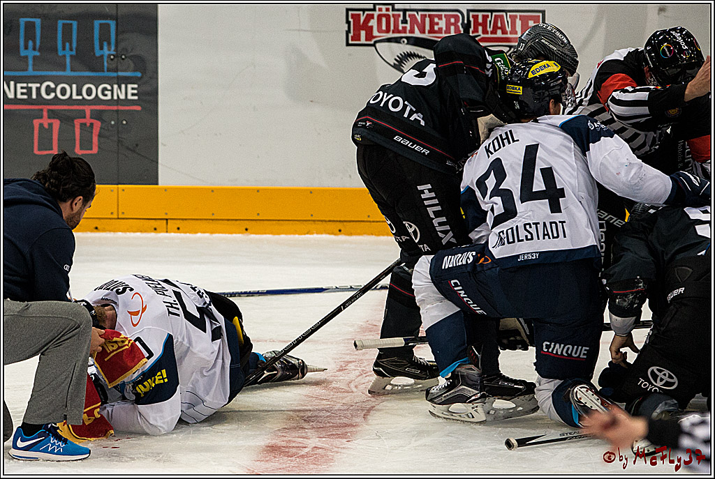 Koelner Haie - ERC Ingolstadt, 23.10.2016